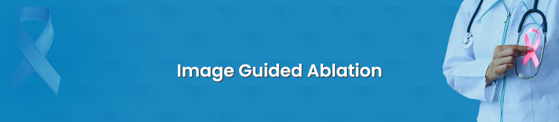 Image Guided Ablation