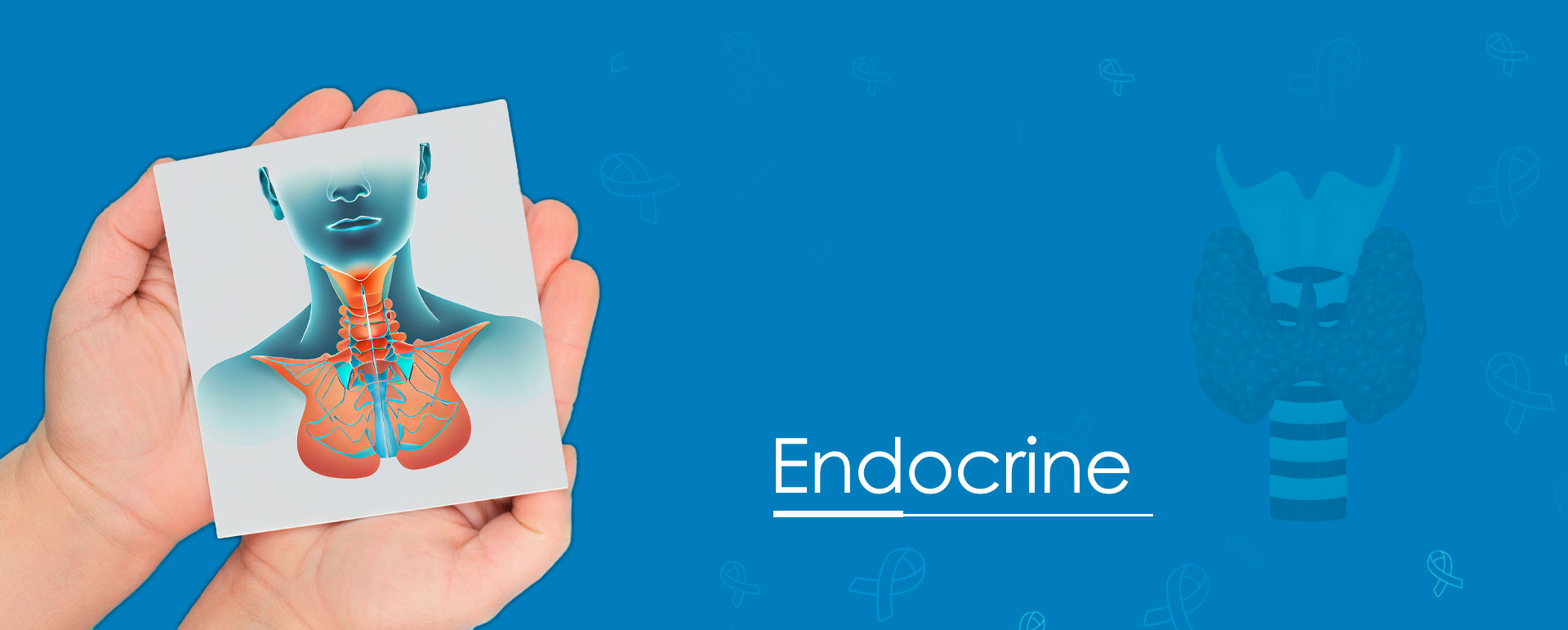 Endocrinology